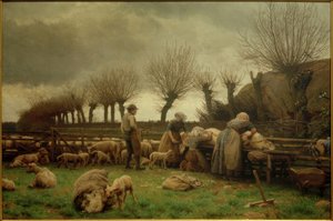 Nożyce wiosenne na wyspie Lolland. Szare niebo